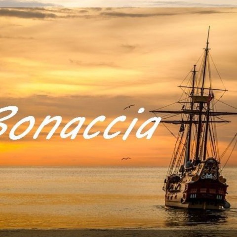 Bonaccia