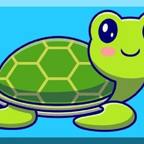 Tartaruga